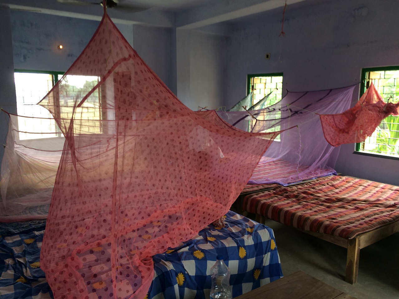 Bedroom with nets over the beds
