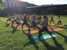 People doing yoga at Yoga Day 2016